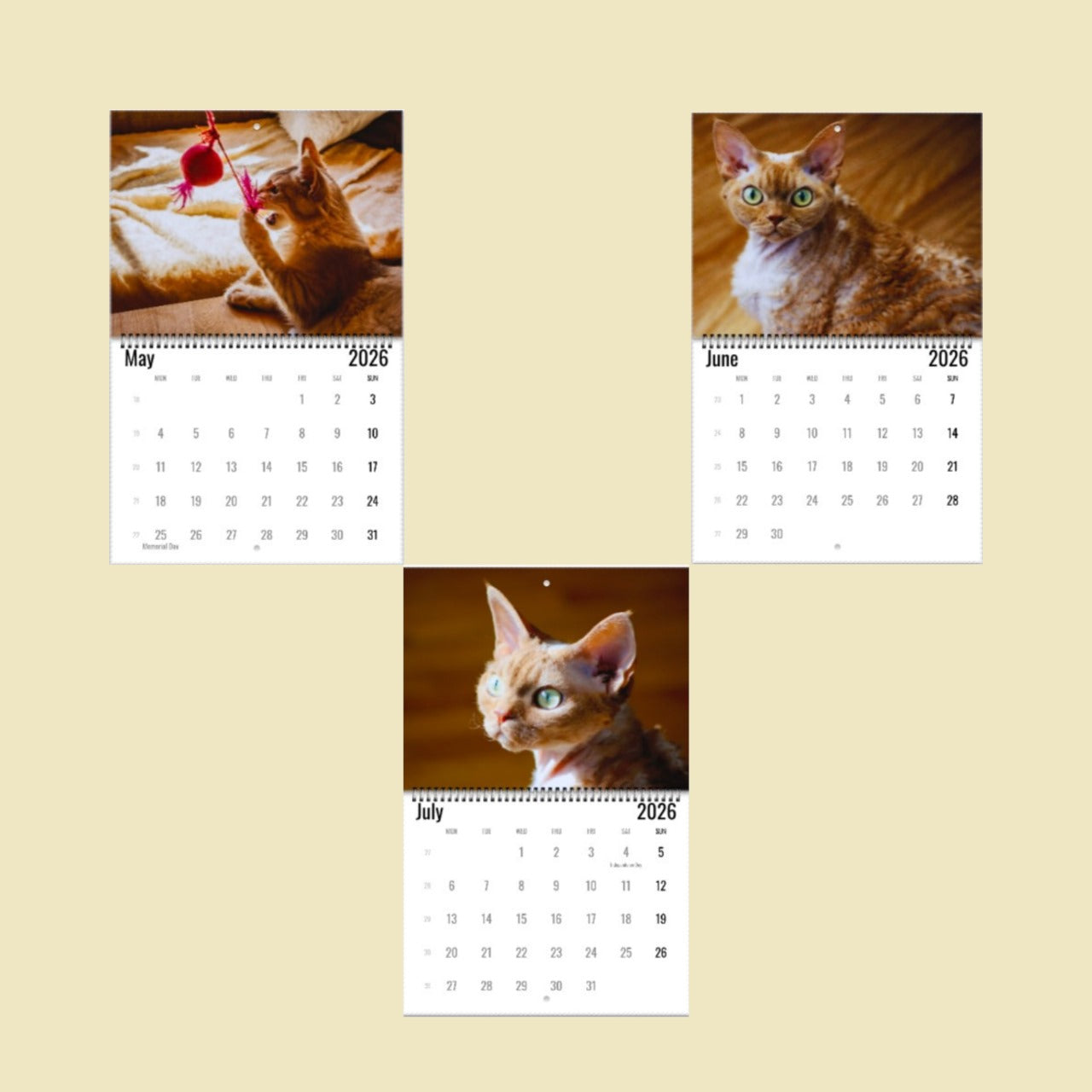 Devon Rex Cat Wall Calendar 2026