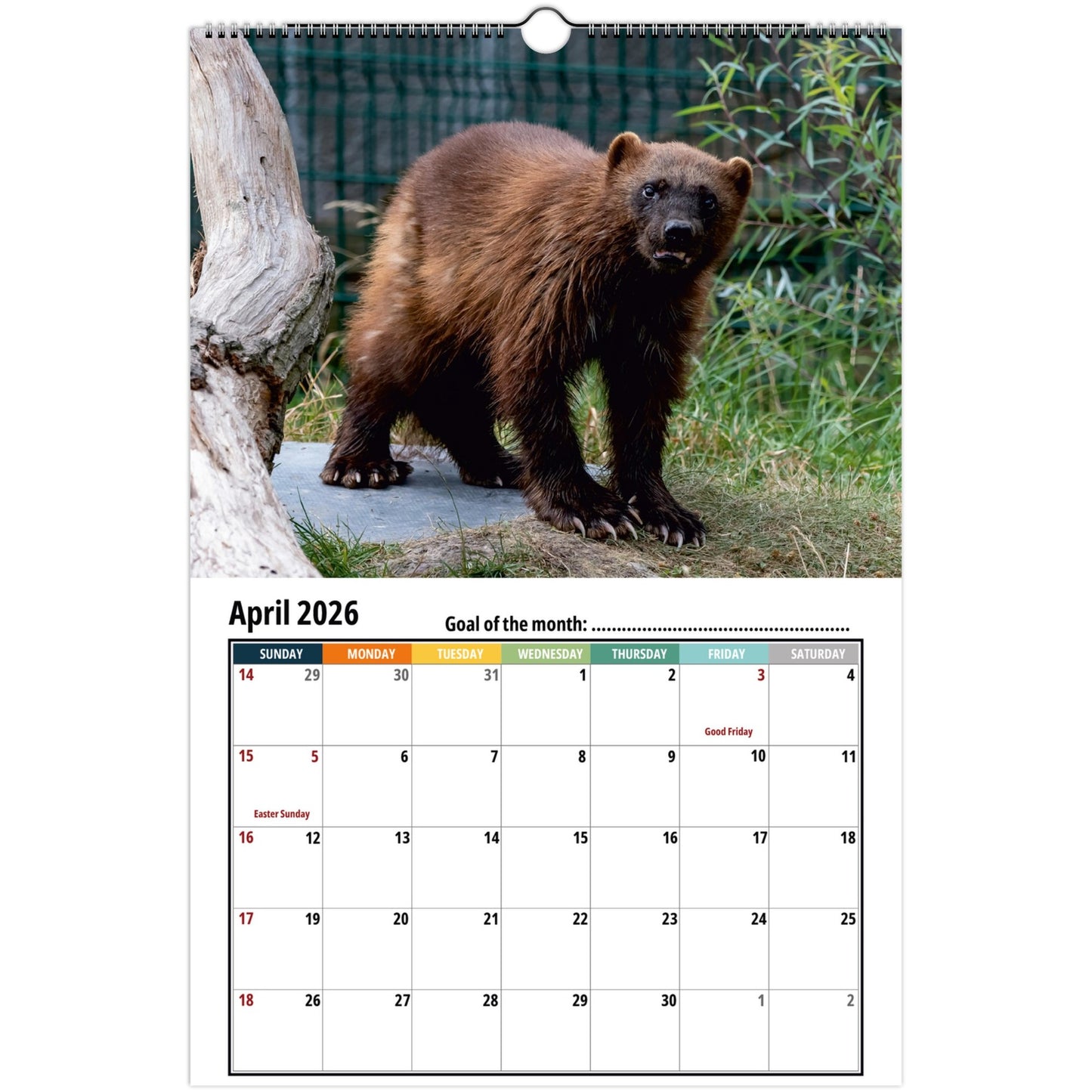 Wolverine Wall Calendar 2026
