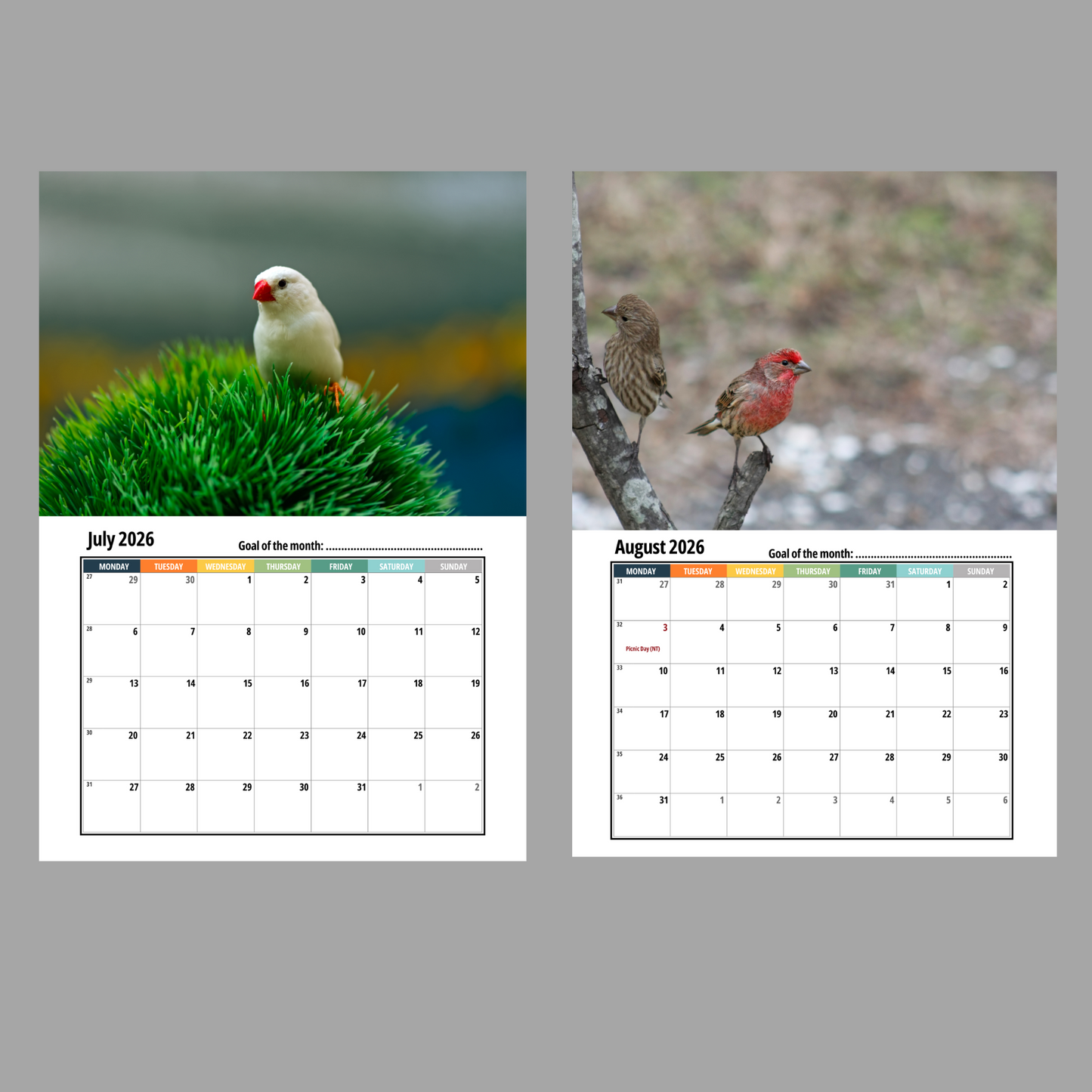 Finches Wall Calendar 2026