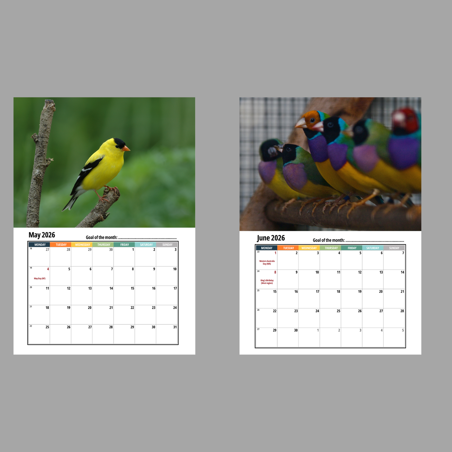 Finches Wall Calendar 2026