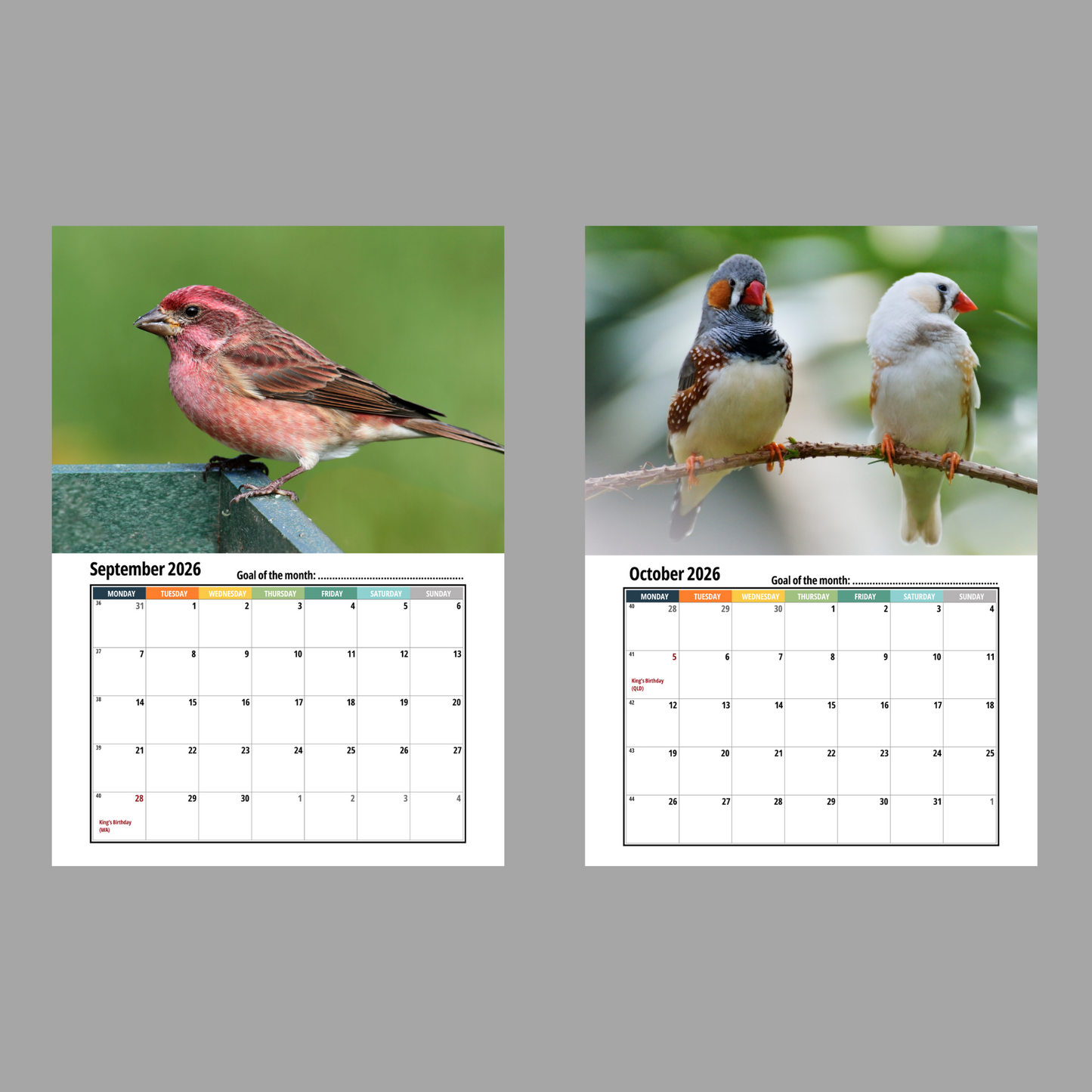 Finches Wall Calendar 2026