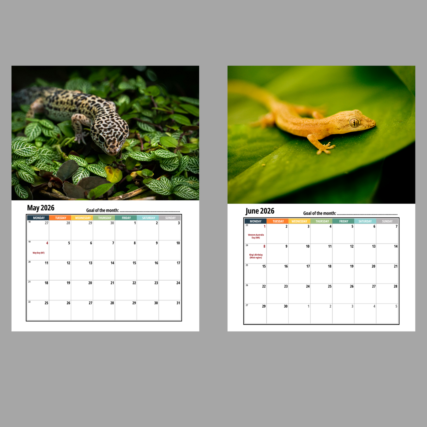 Gecko Wall Calendar 2026