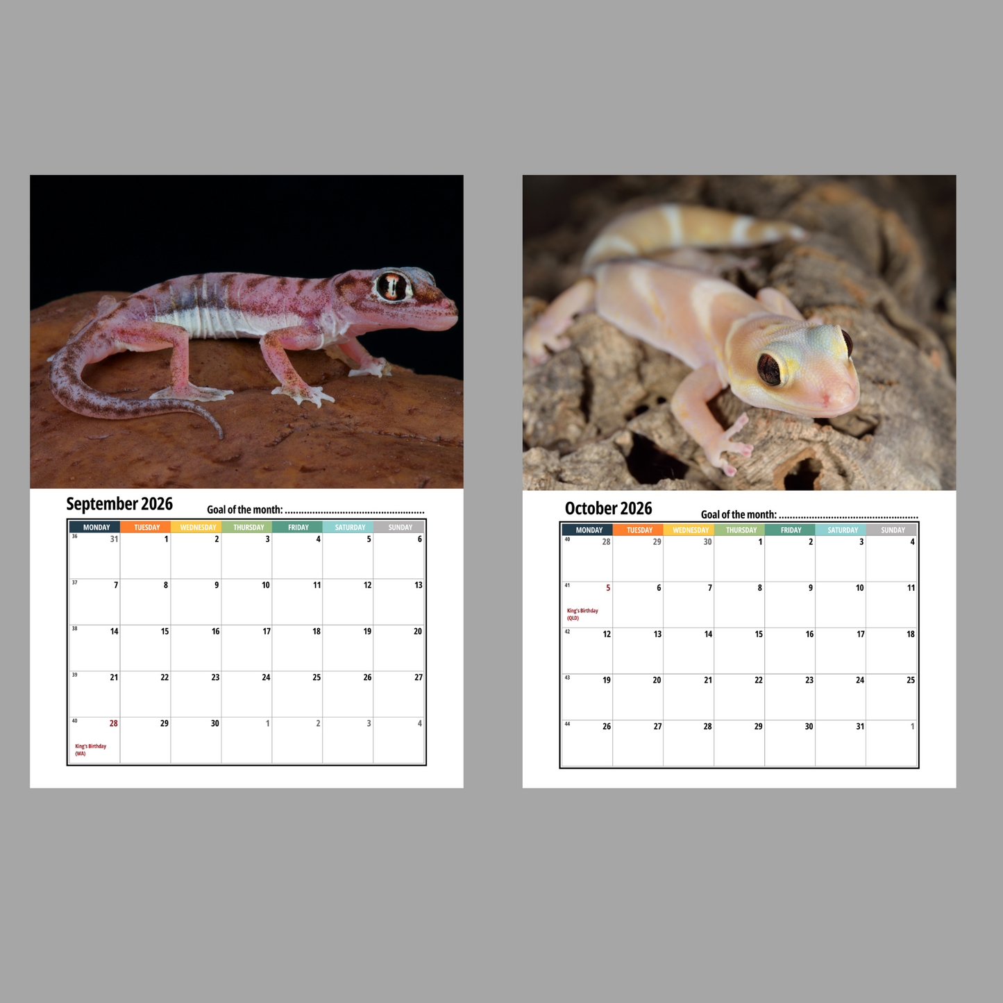 Gecko Wall Calendar 2026