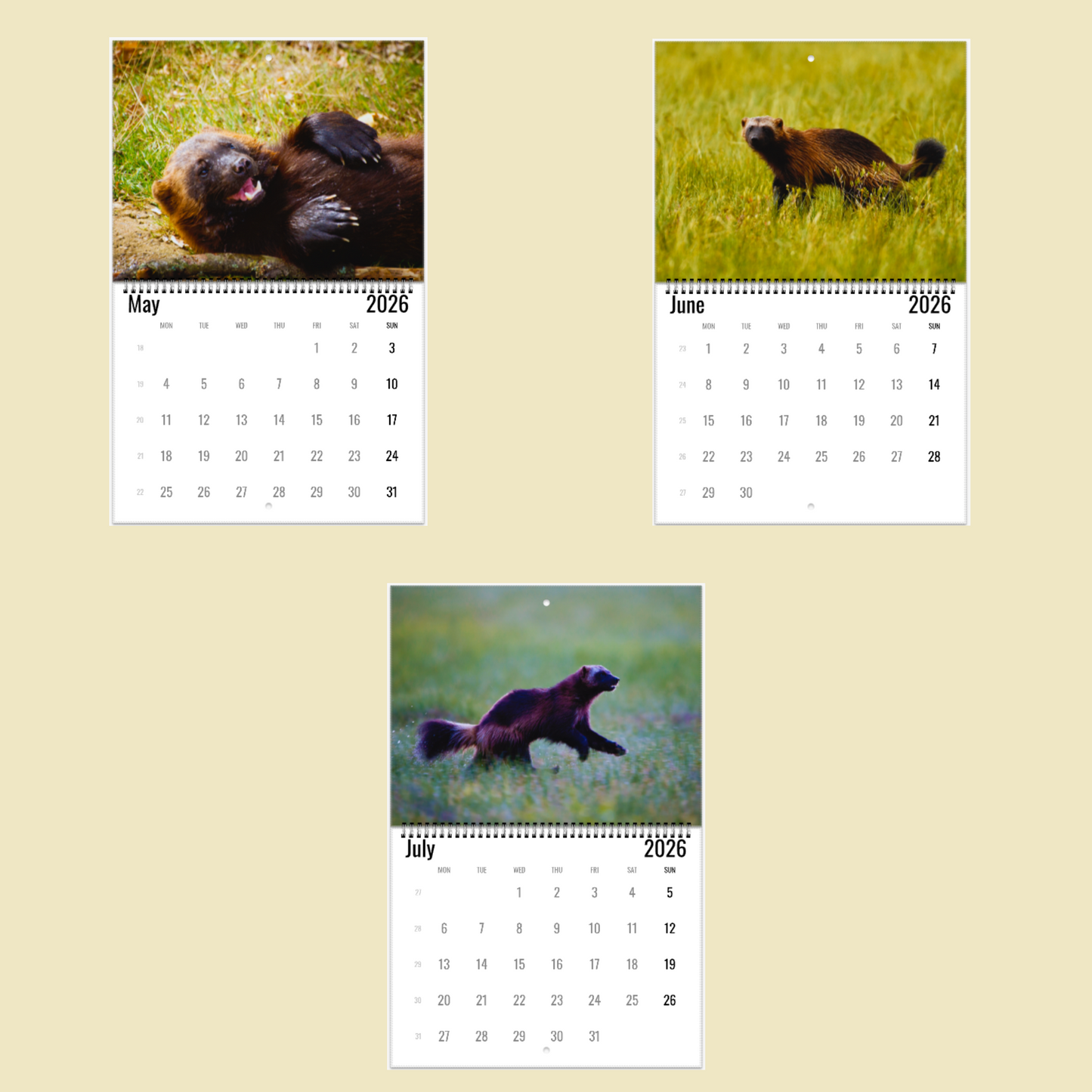 Wolverine Wall Calendar 2026