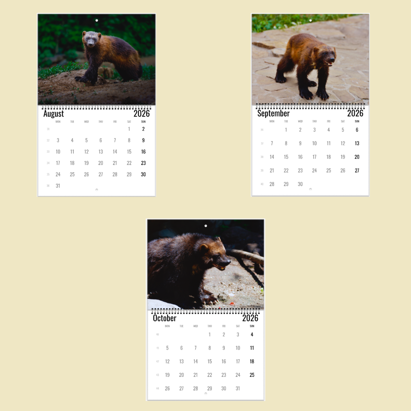 Wolverine Wall Calendar 2026