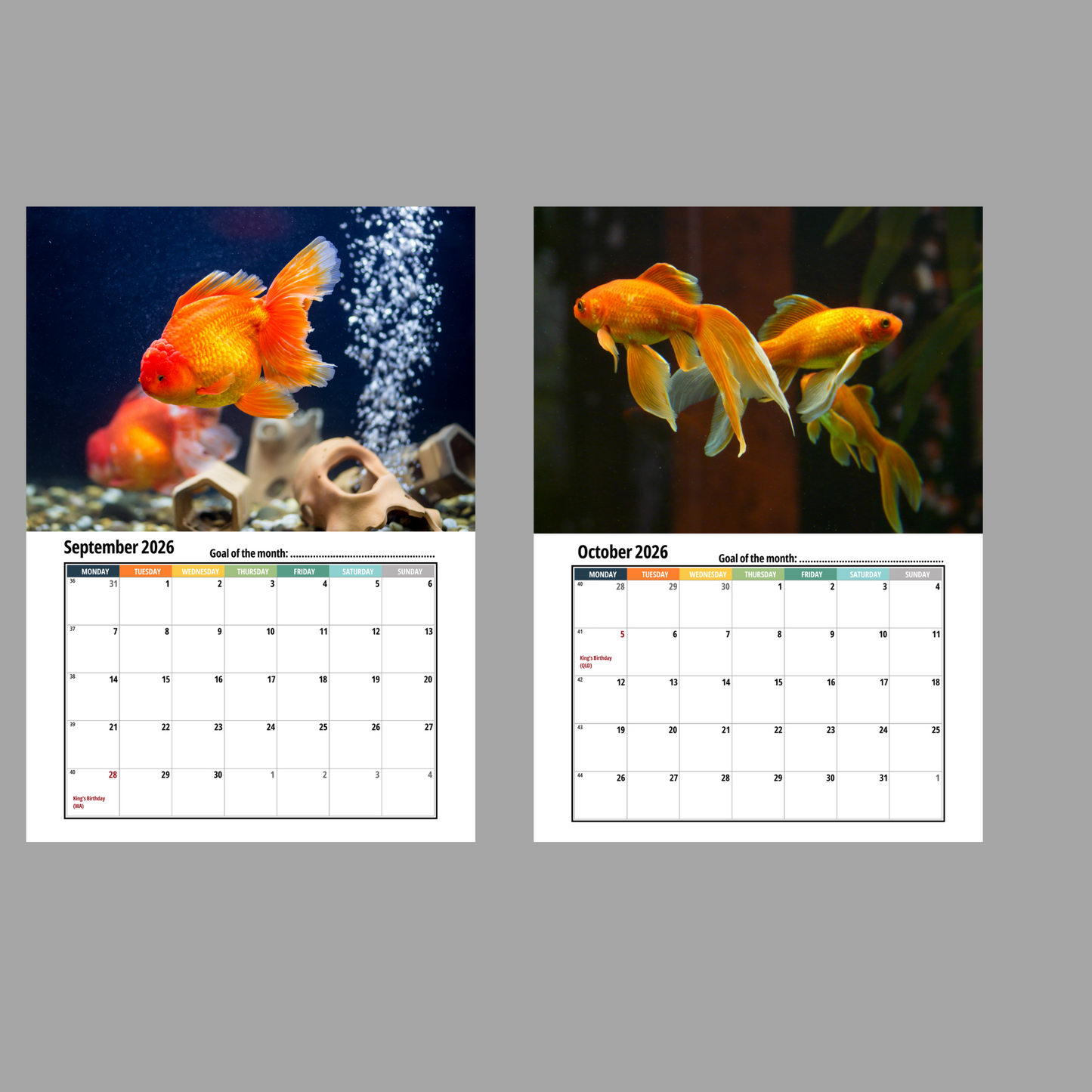 Goldfish Wall Calendar 2026