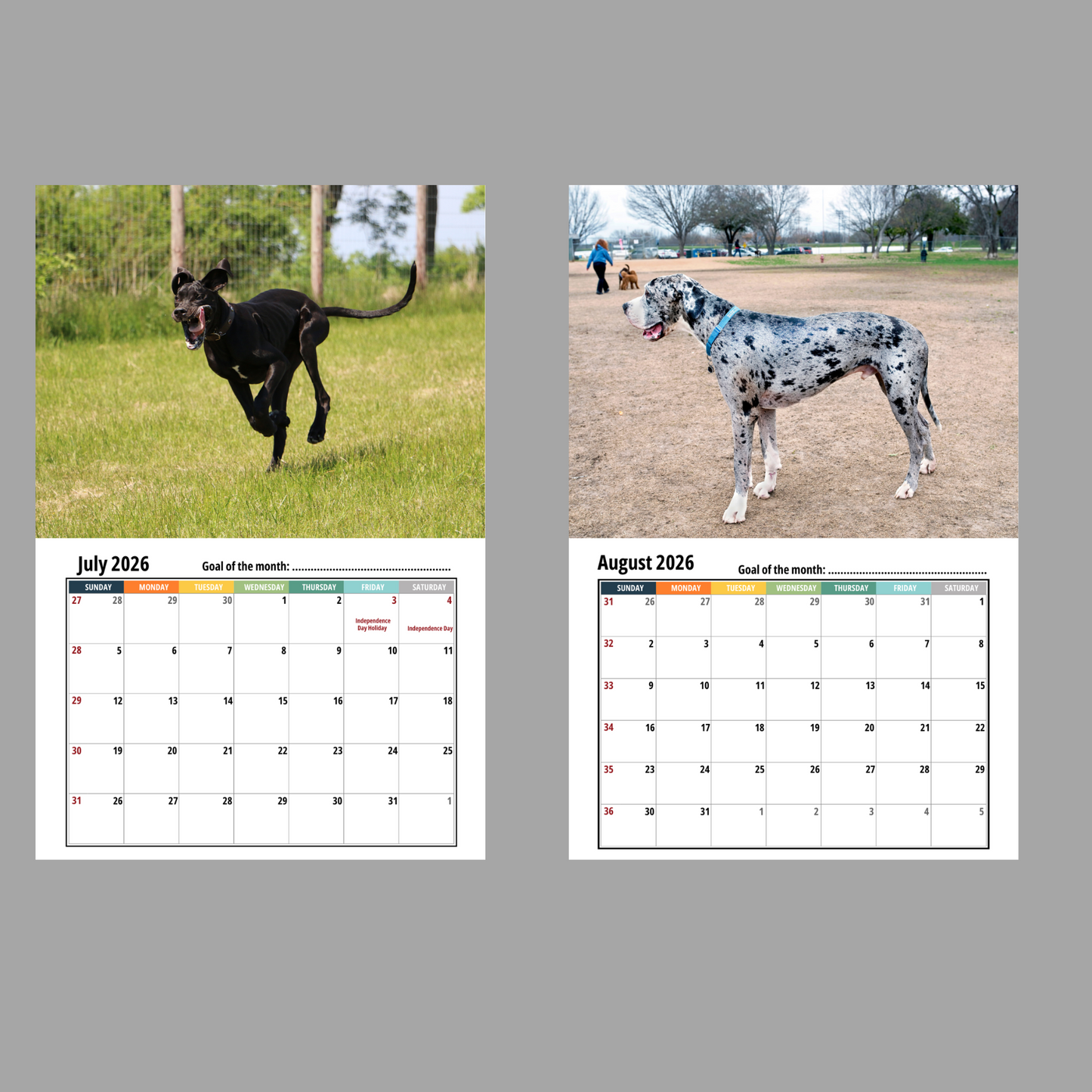 Great Dane Wall Calendar 2026