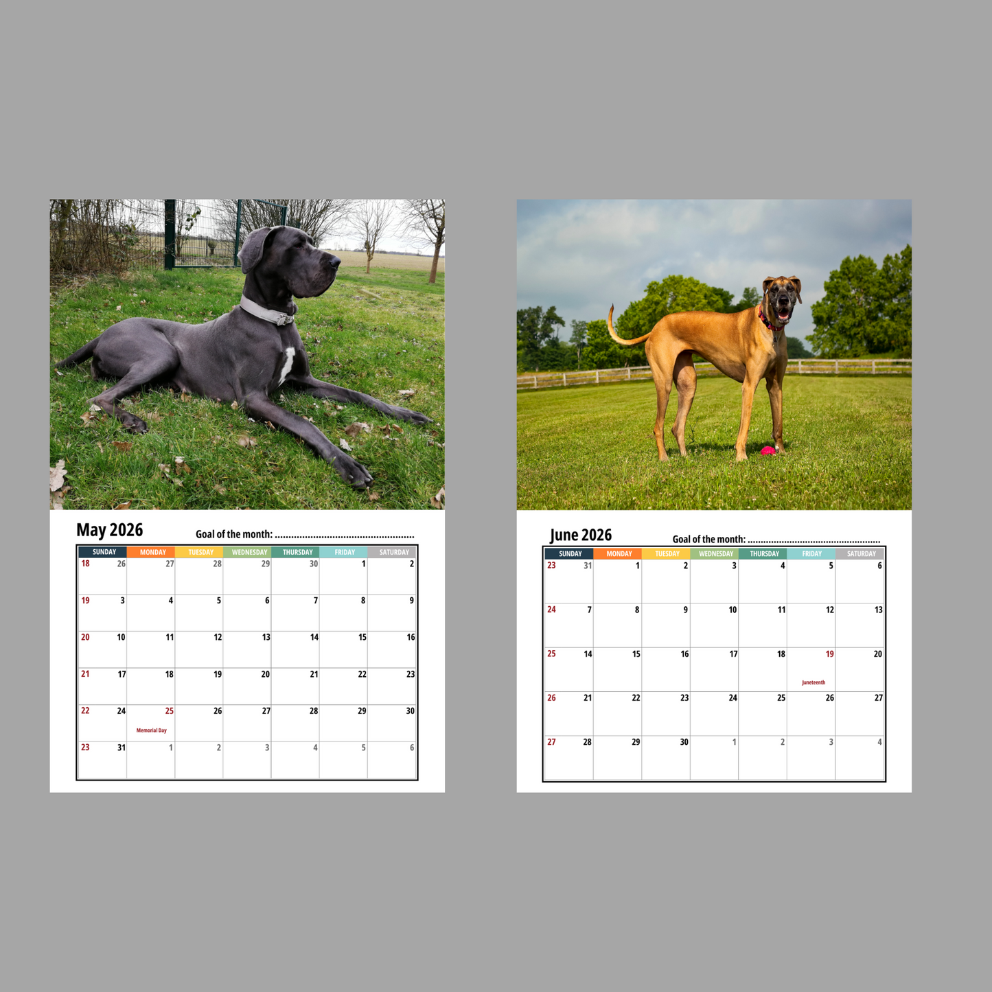 Great Dane Wall Calendar 2026