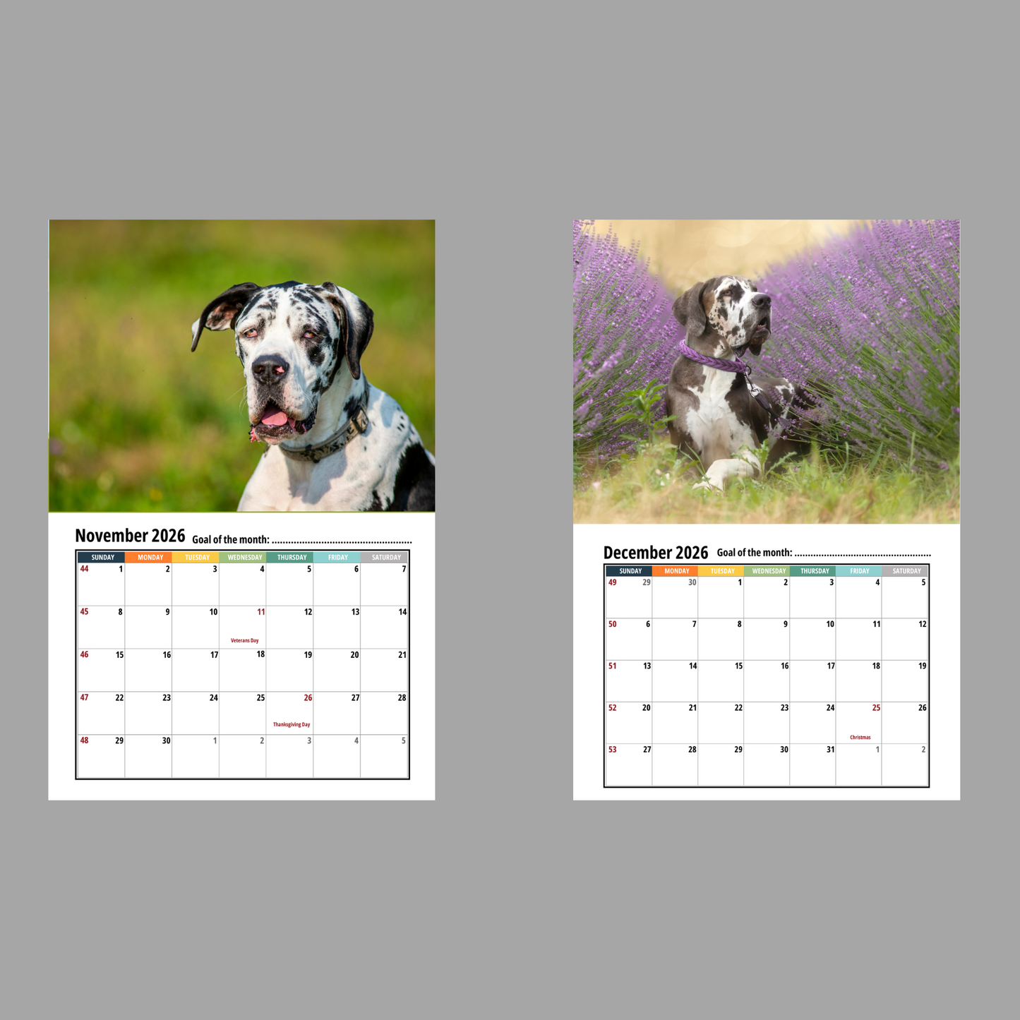 Great Dane Wall Calendar 2026