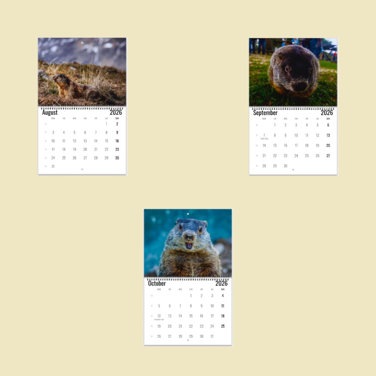 Groundhog Wall Calendar 2026