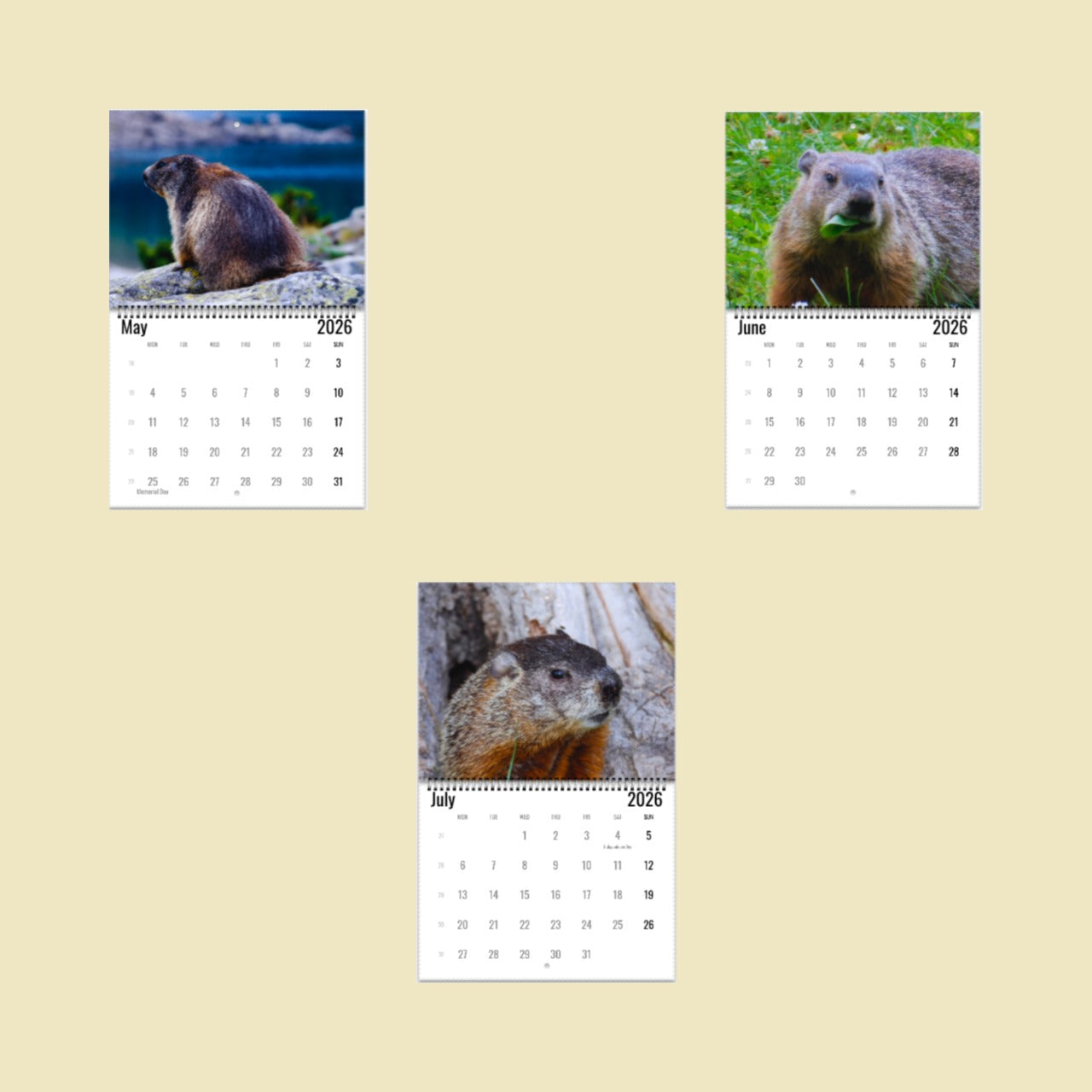 Groundhog Wall Calendar 2026