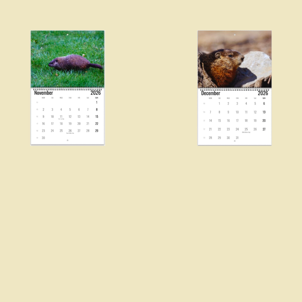 Groundhog Wall Calendar 2026