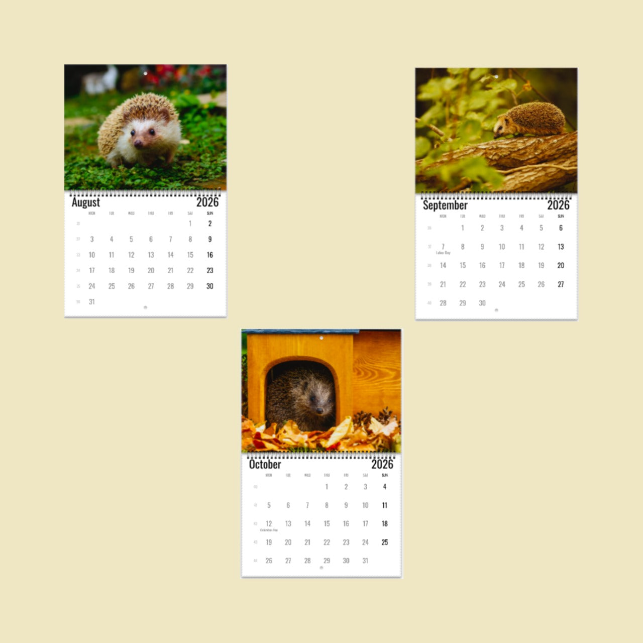 Three calendar pages showing hedgehogs in different settings on a beige background.