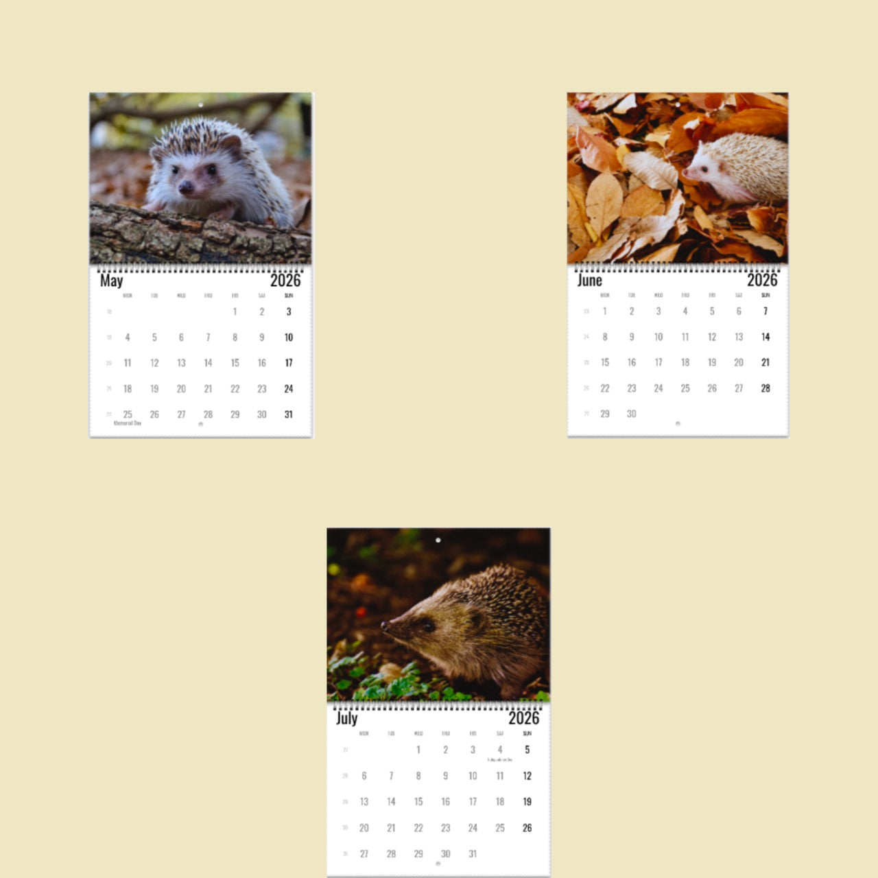 Three calendar pages showing hedgehogs on a beige background