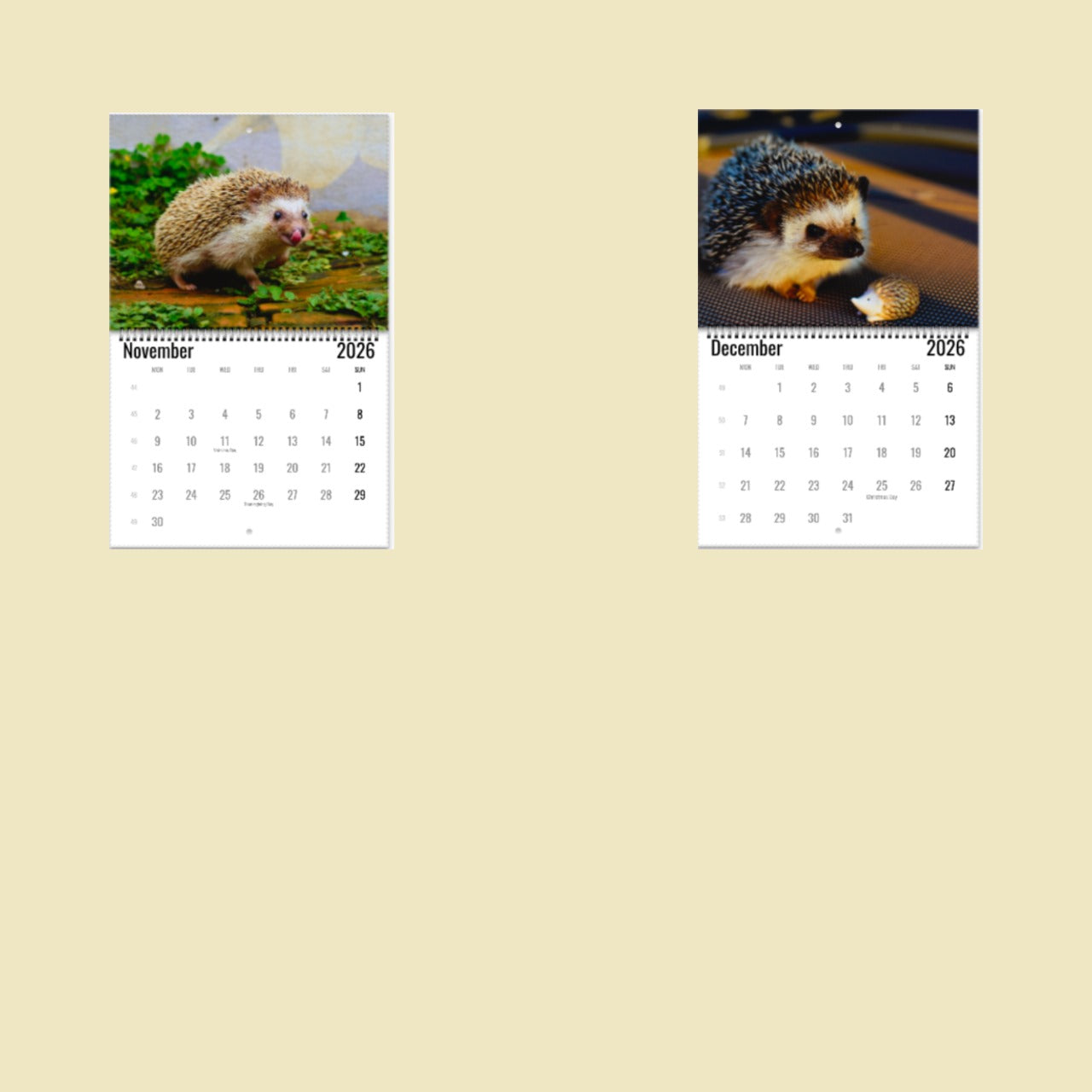 Two calendar pages showing hedgehogs on a beige background