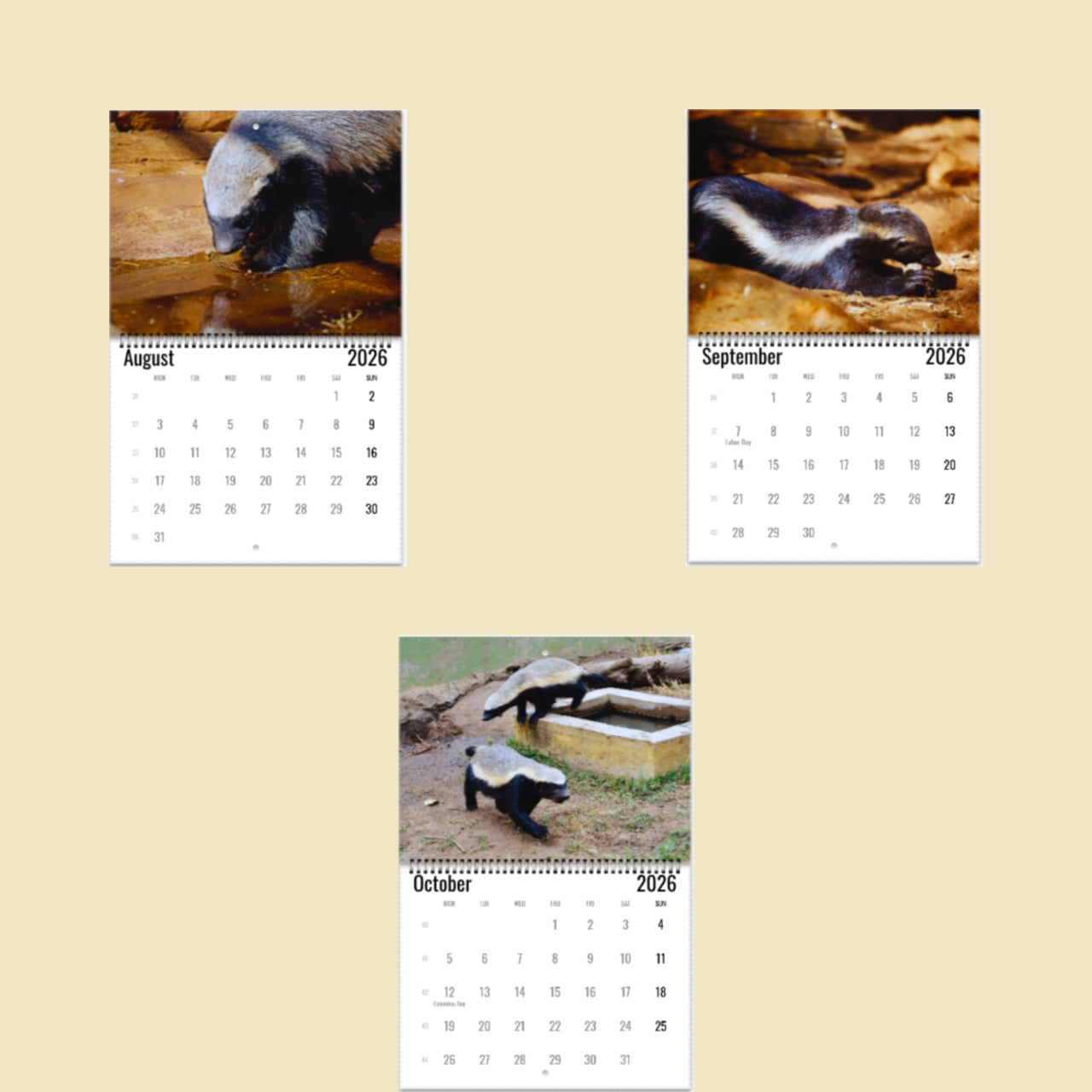Honey Badger Wall Calendar 2026