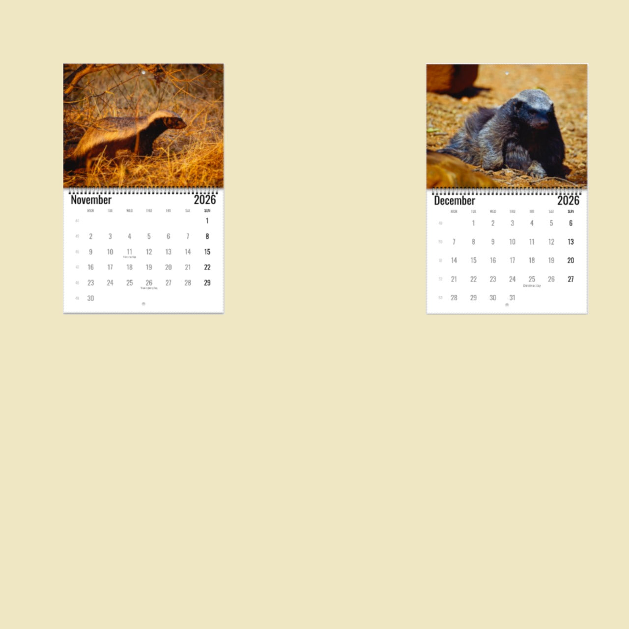 Honey Badger Wall Calendar 2026