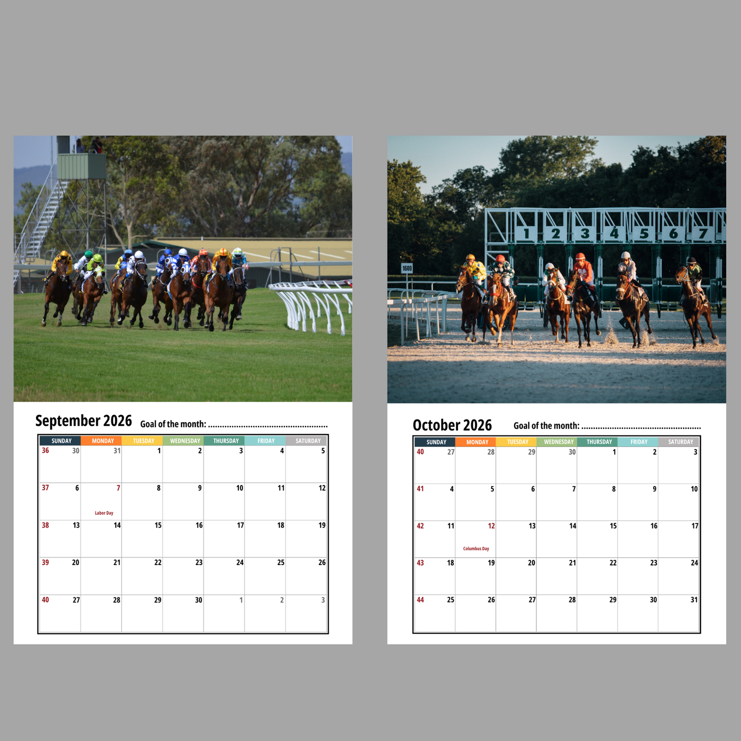 Horse Racing Wall Calendar 2026