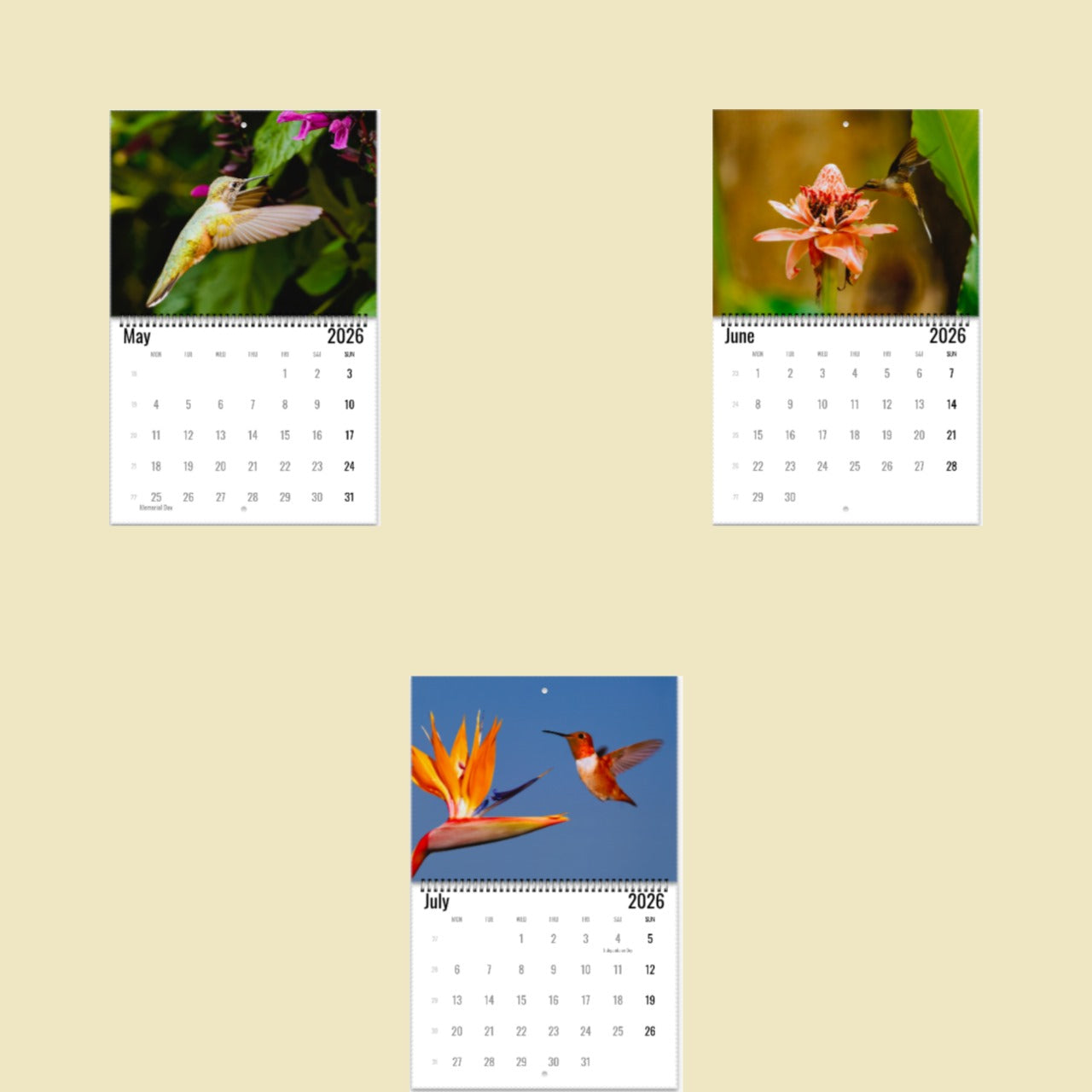 Hummingbird Wall Calendar 2026