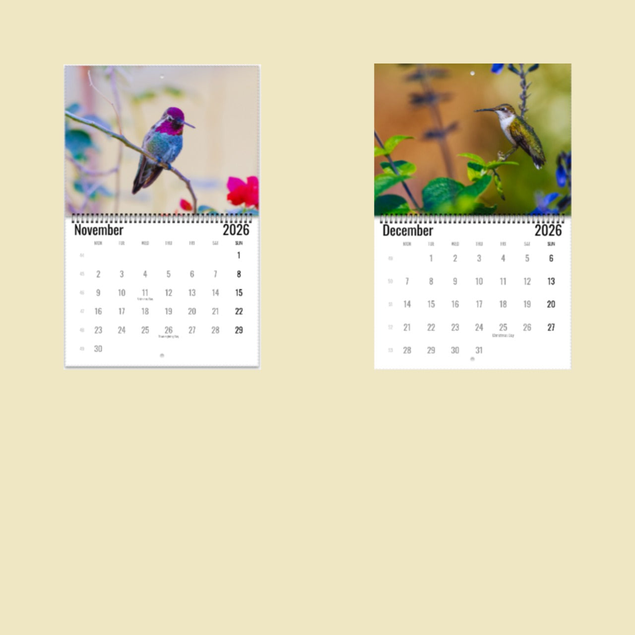 Hummingbird Wall Calendar 2026