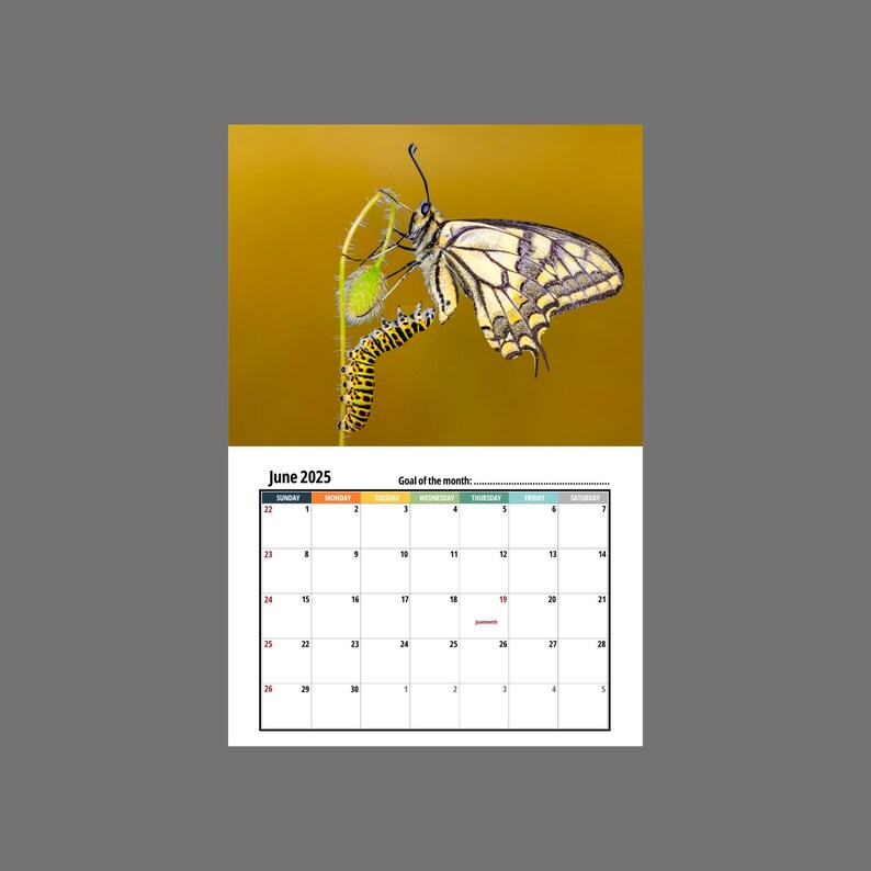 Caterpillar Wall calendar 2025