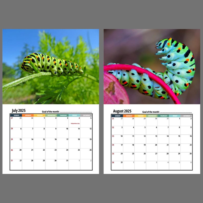 Caterpillar Wall calendar 2025