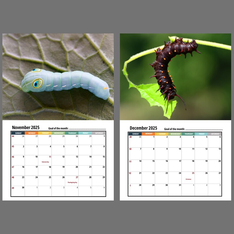 Caterpillar Wall calendar 2025