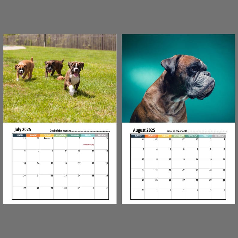 Boxer Dog Wall Calendar 2025