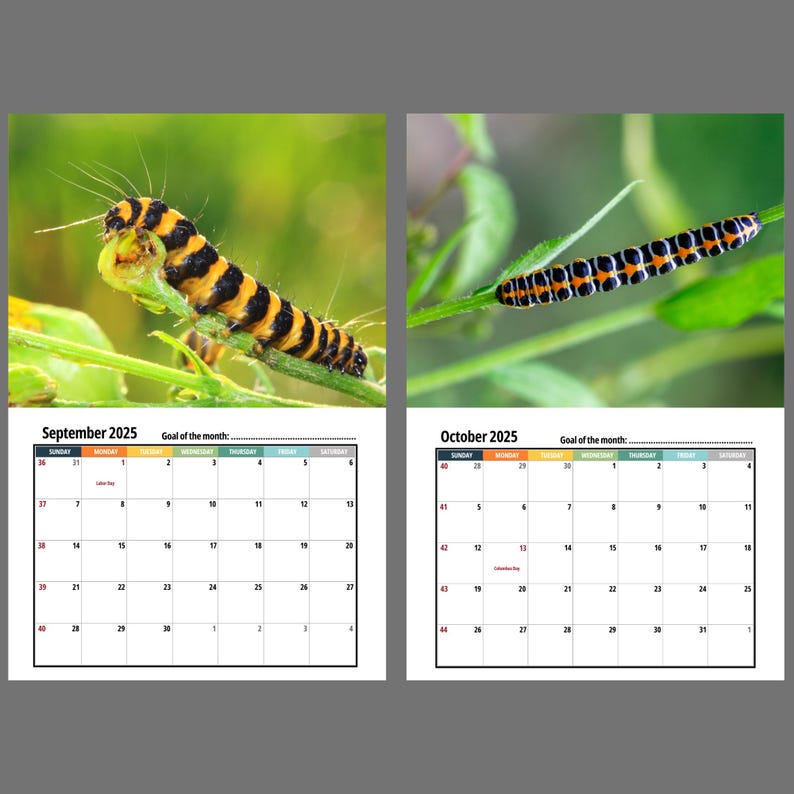 Caterpillar Wall calendar 2025