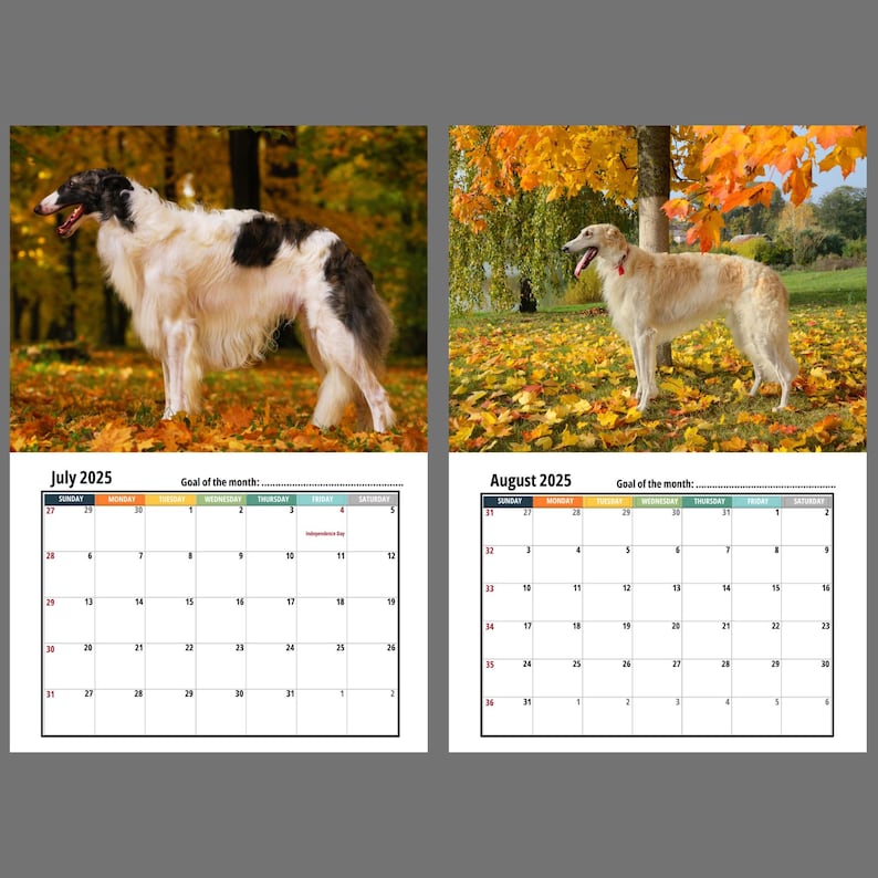 Borzoi Wall Calendar 2025