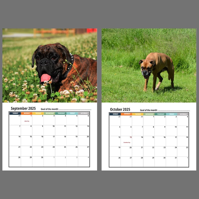 Boxer Dog Wall Calendar 2025
