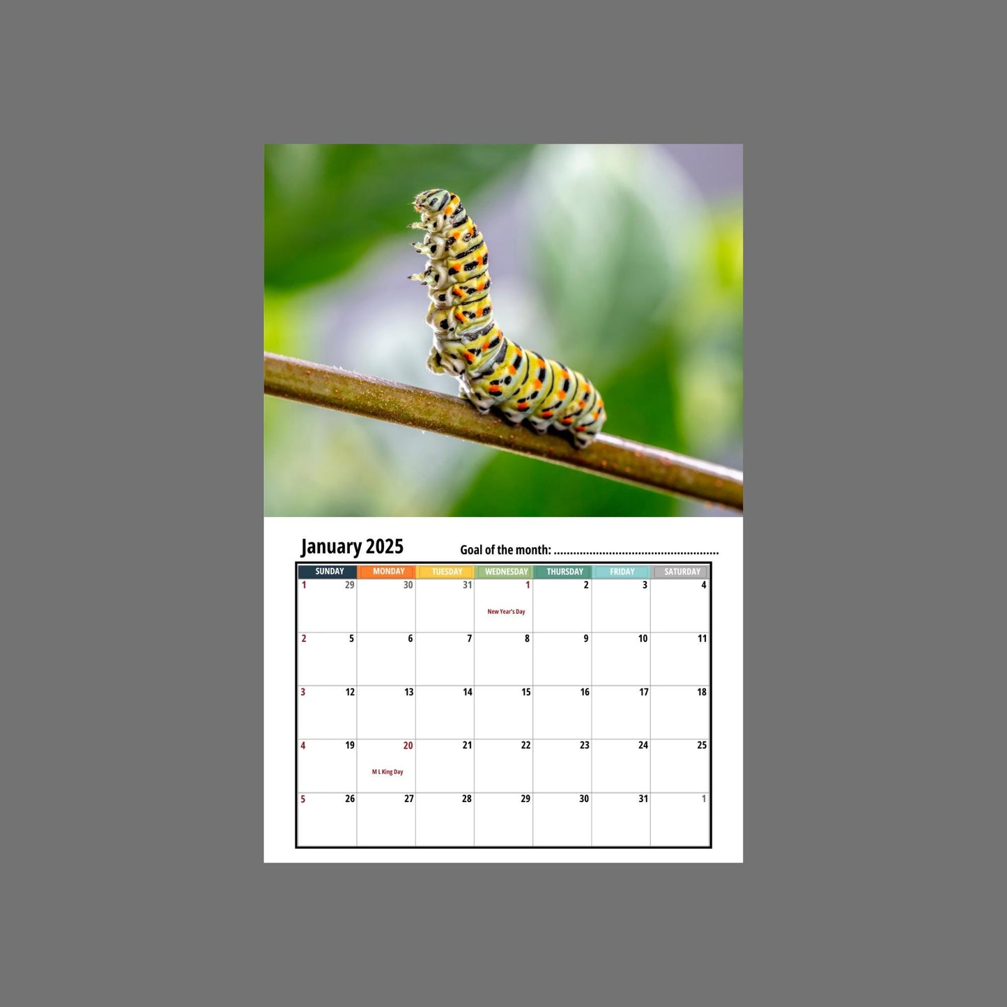 Caterpillar Wall calendar 2025