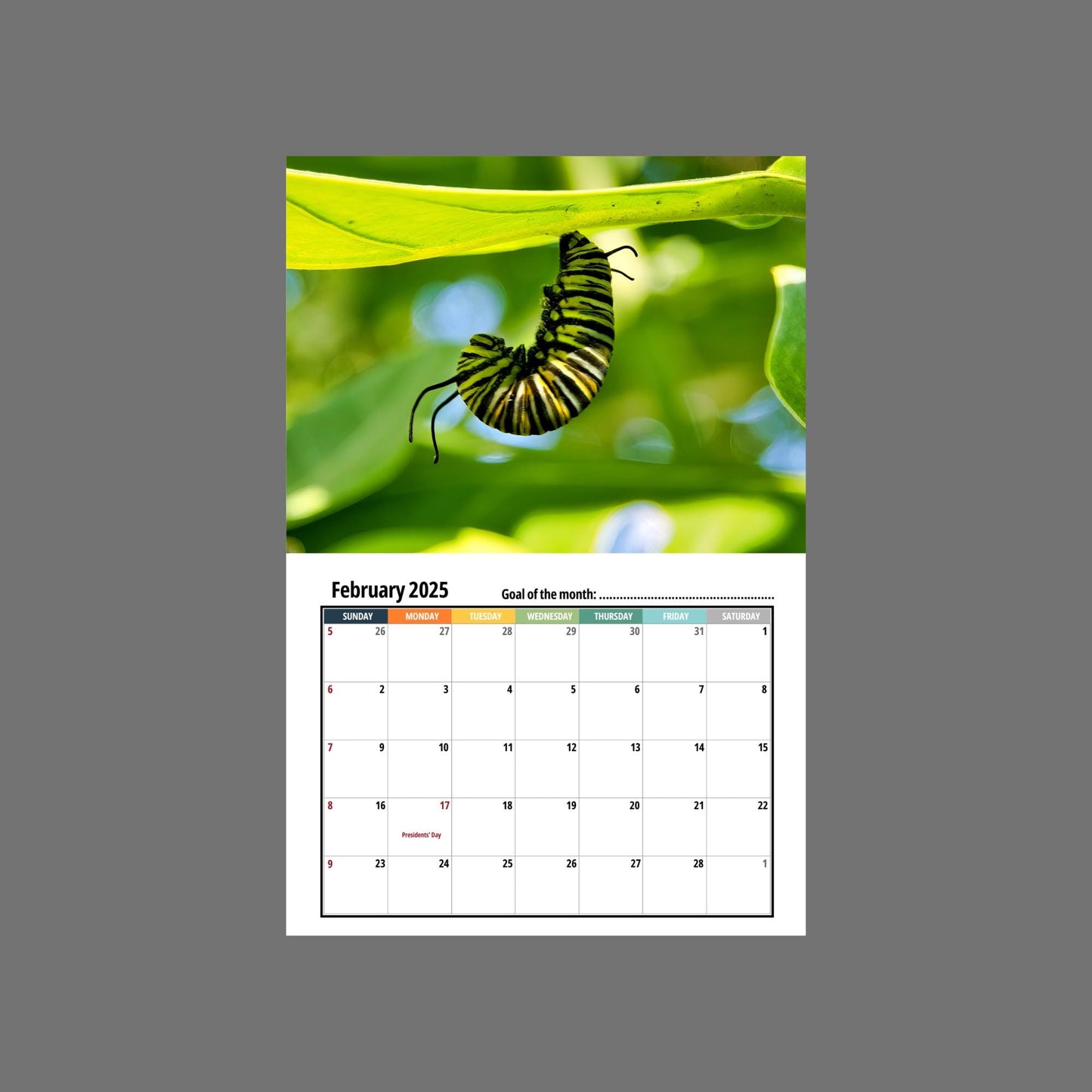 Caterpillar Wall calendar 2025