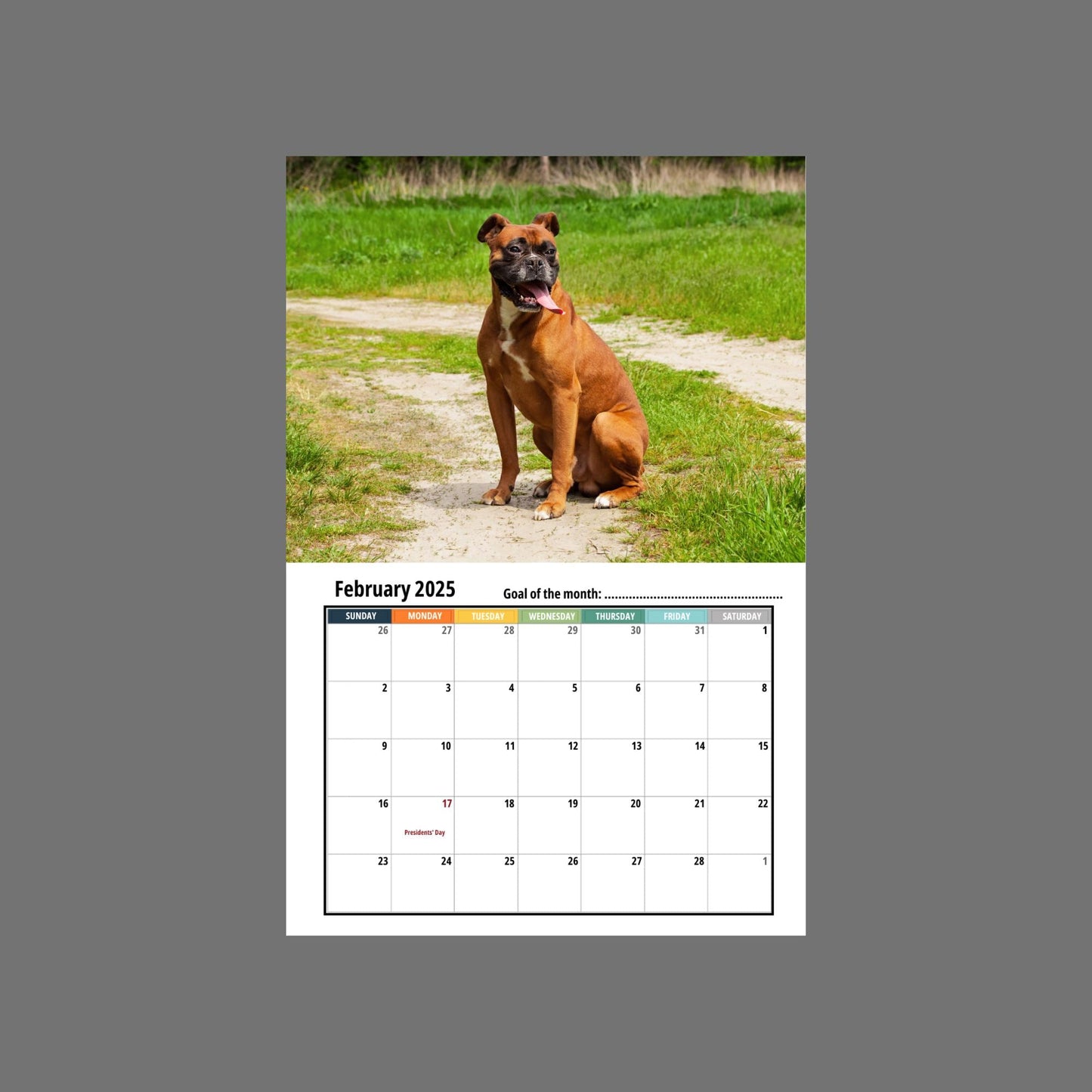 Boxer Dog Wall Calendar 2025