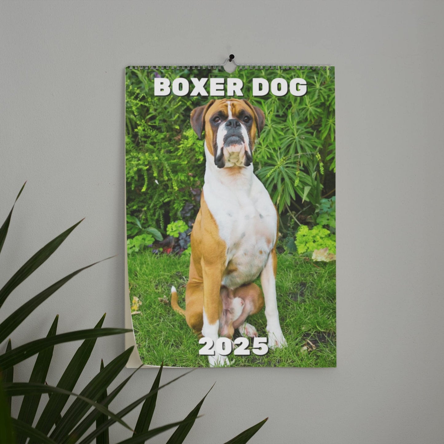 Boxer Dog Wall Calendar 2025