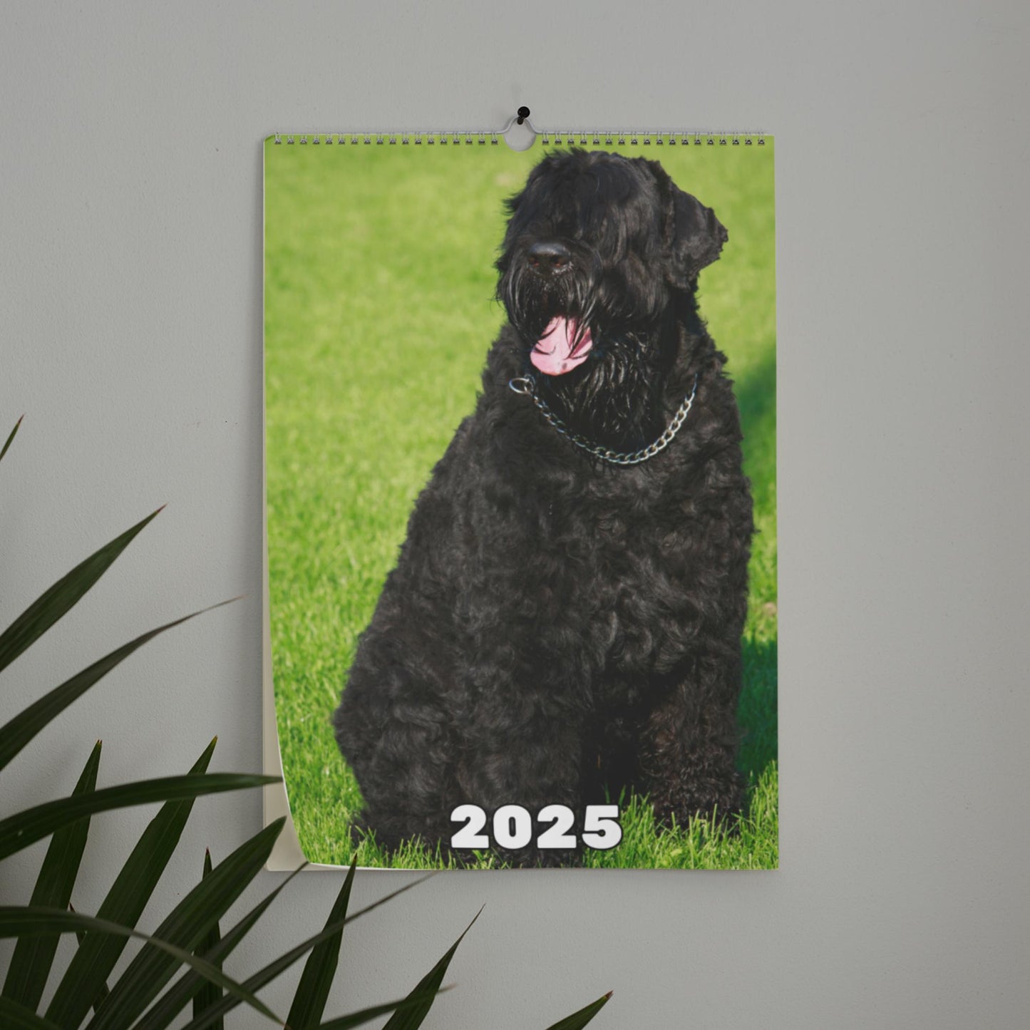Black Russian Terrier Wall Calendar 2025