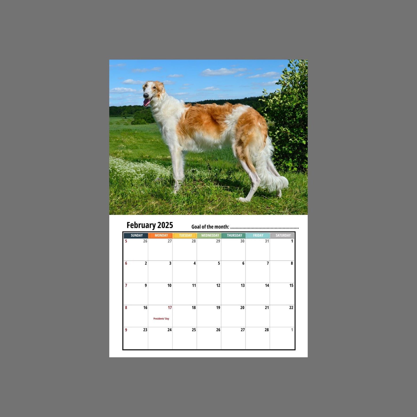 Borzoi Wall Calendar 2025