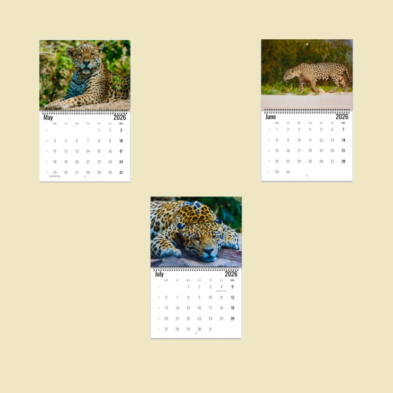 Jaguar Wall Calendar 2026
