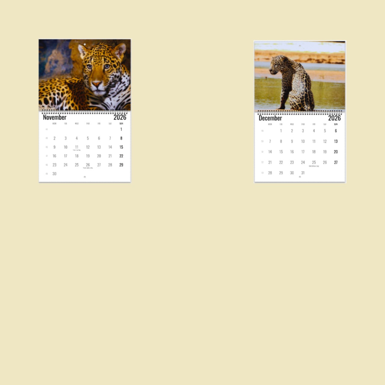 Jaguar Wall Calendar 2026