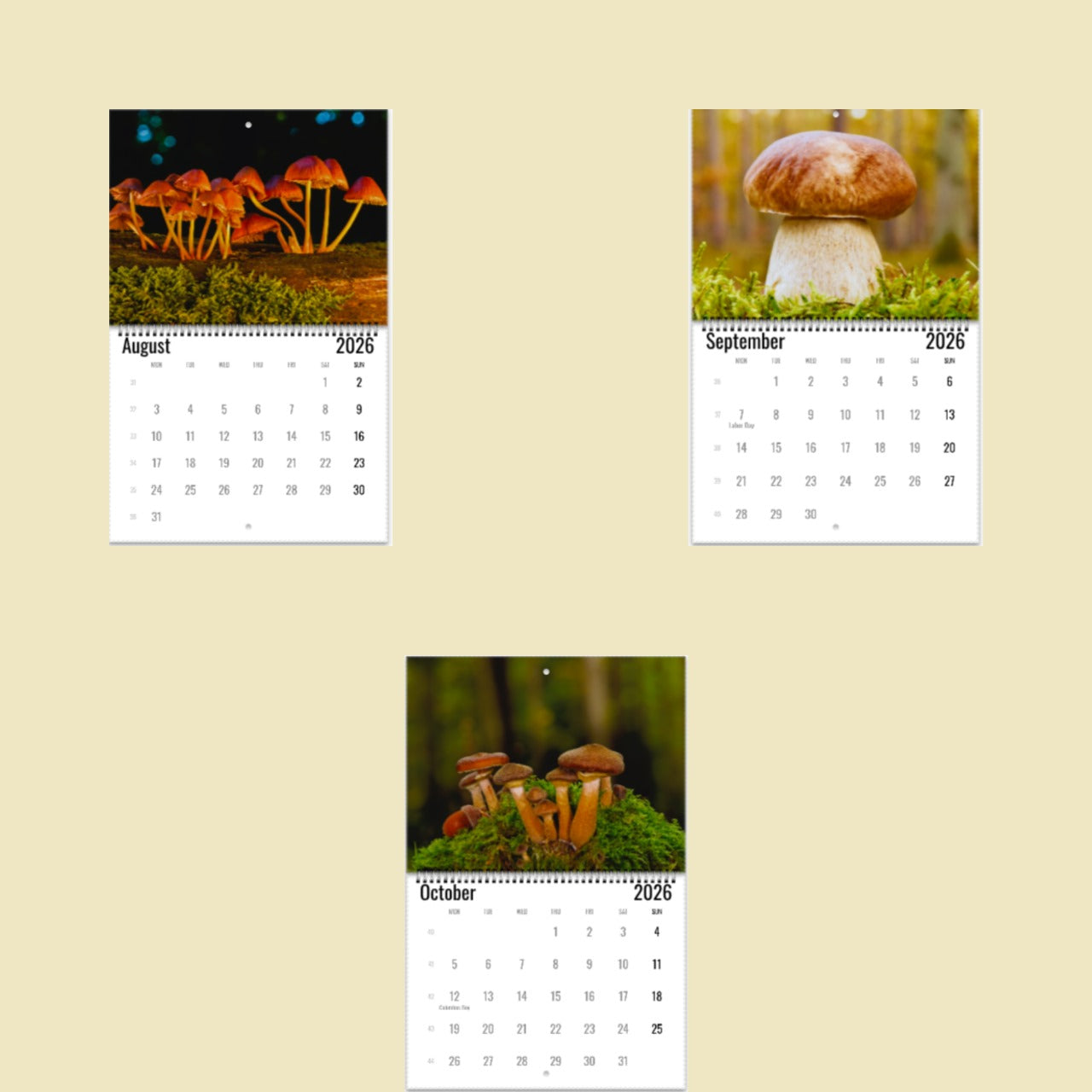 Three calendar pages showing mushrooms in a forest setting on a beige background.