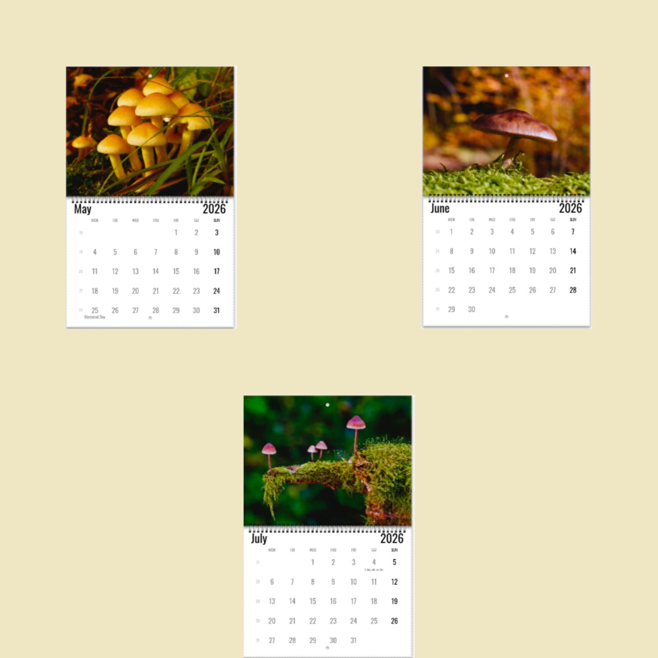 Three calendar pages showing mushrooms on a beige background