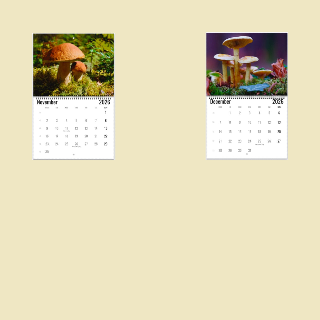 Two calendar pages showing mushrooms in nature on a beige background