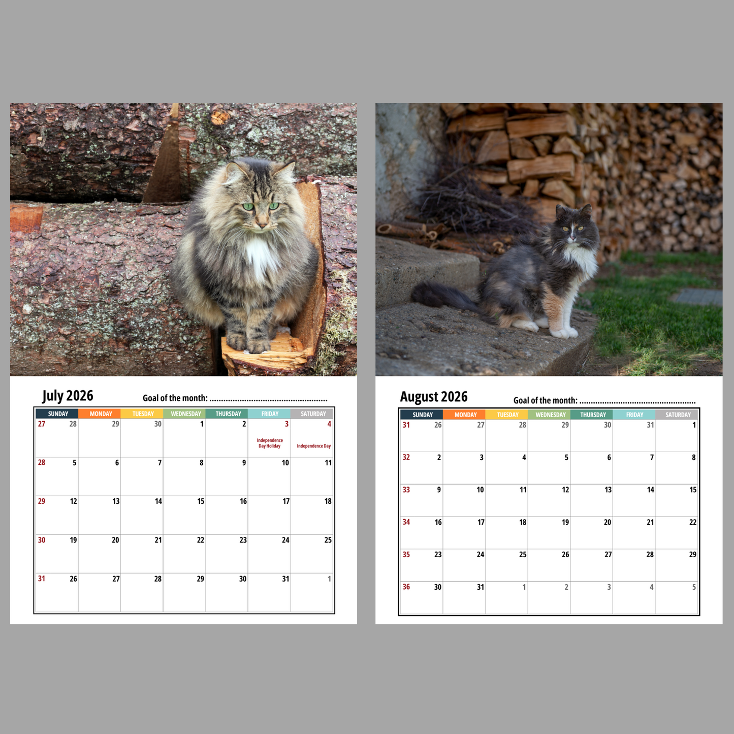 Calendar with images of norwegian_forest_cat and calendar pages for July and August 2026.