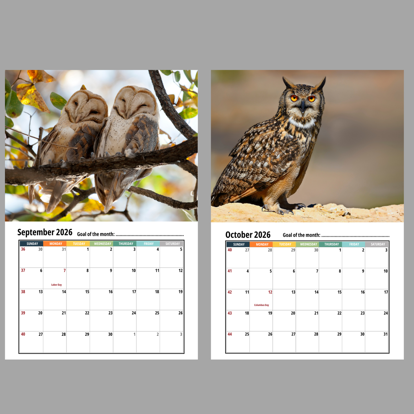 Owl Wall Calendar 2026