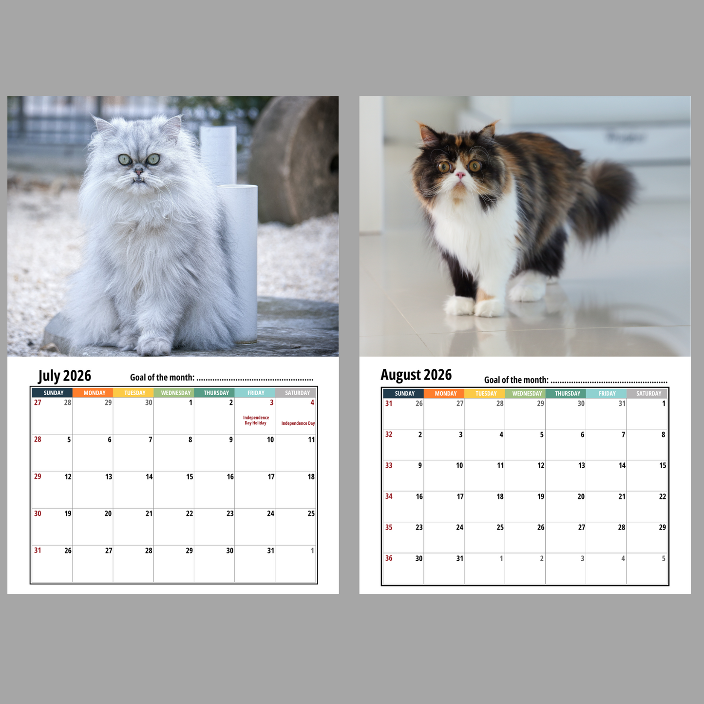 Persian Cat Wall Calendar 2026