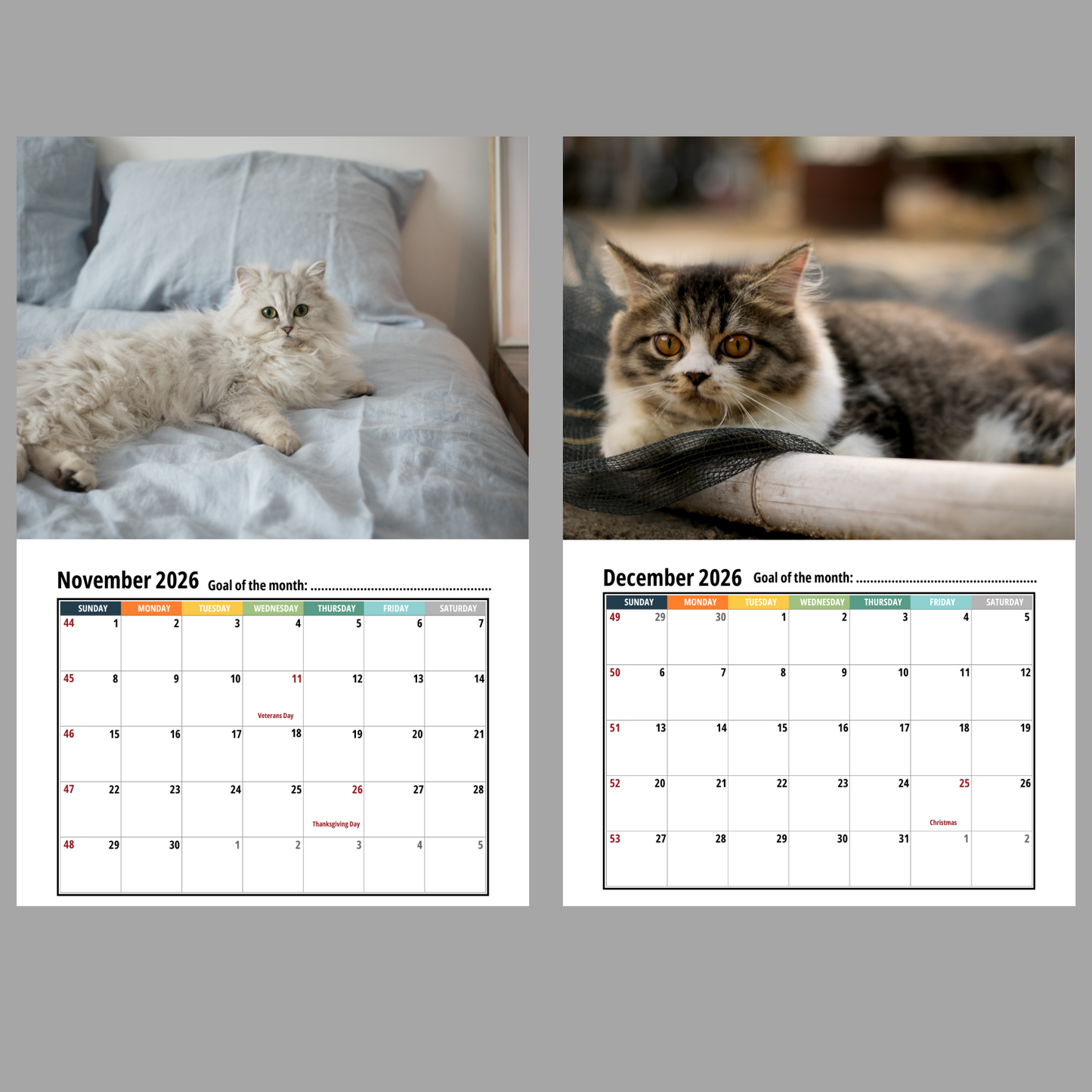 Persian Cat Wall Calendar 2026