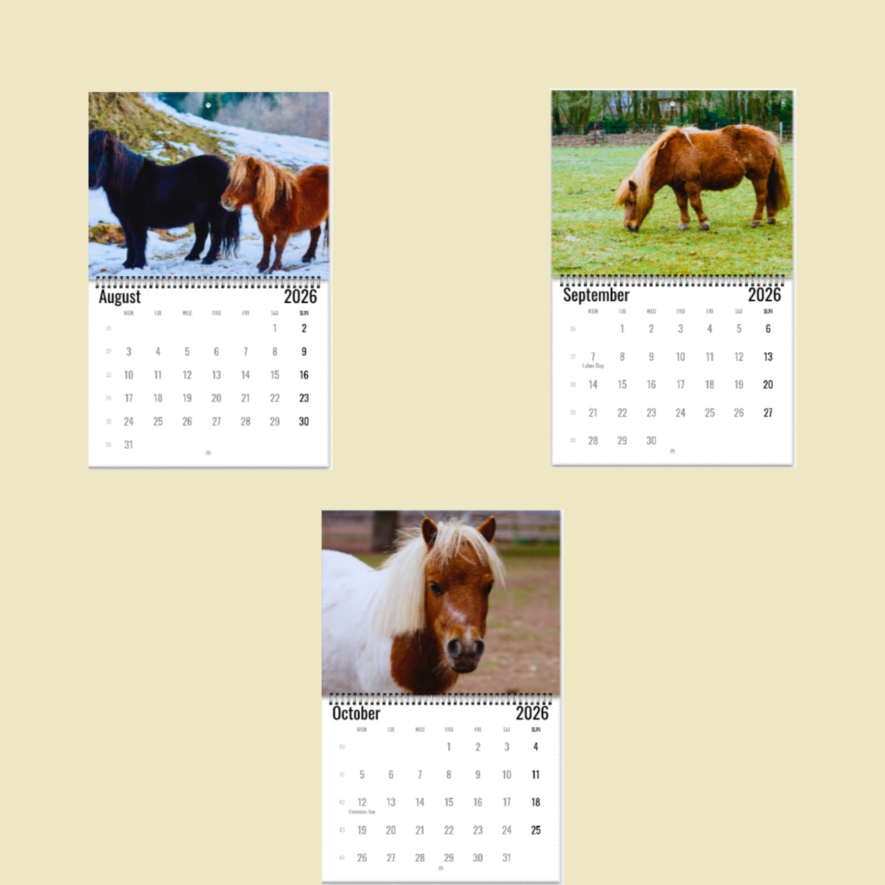 Pony Wall Calendar 2026