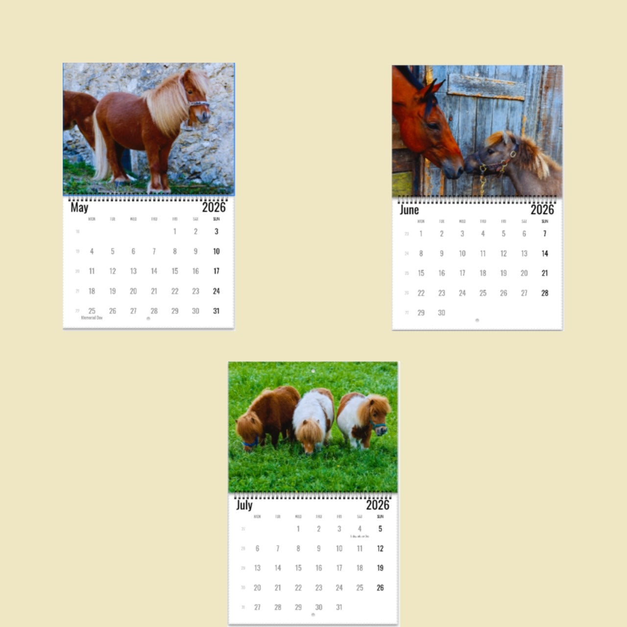 Pony Wall Calendar 2026
