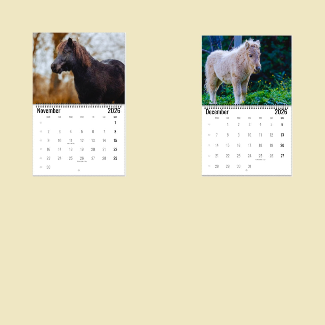 Pony Wall Calendar 2026