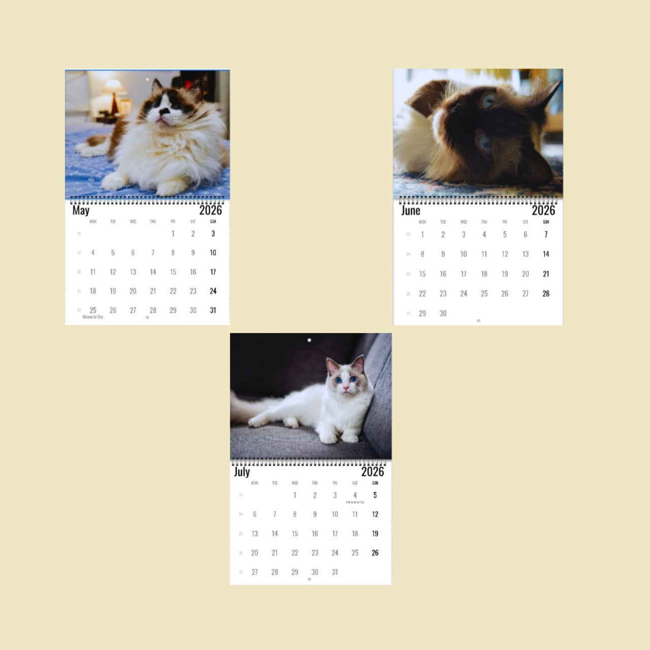 Ragdoll Cat Wall Calendar 2026